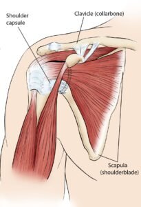 Frozen Shoulder Treatment In Hanumangarh